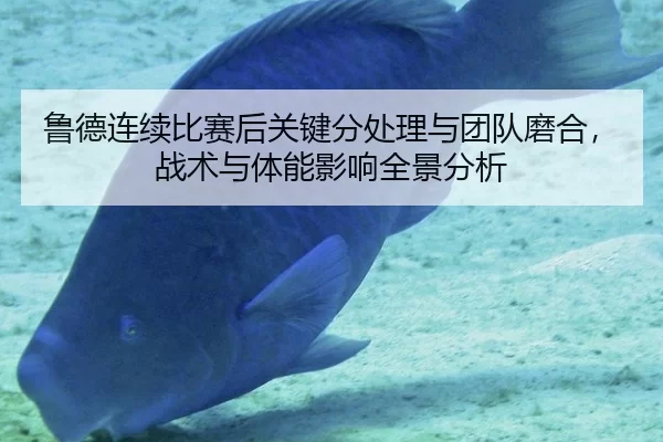 鲁德连续比赛后关键分处理与团队磨合，战术与体能影响全景分析
